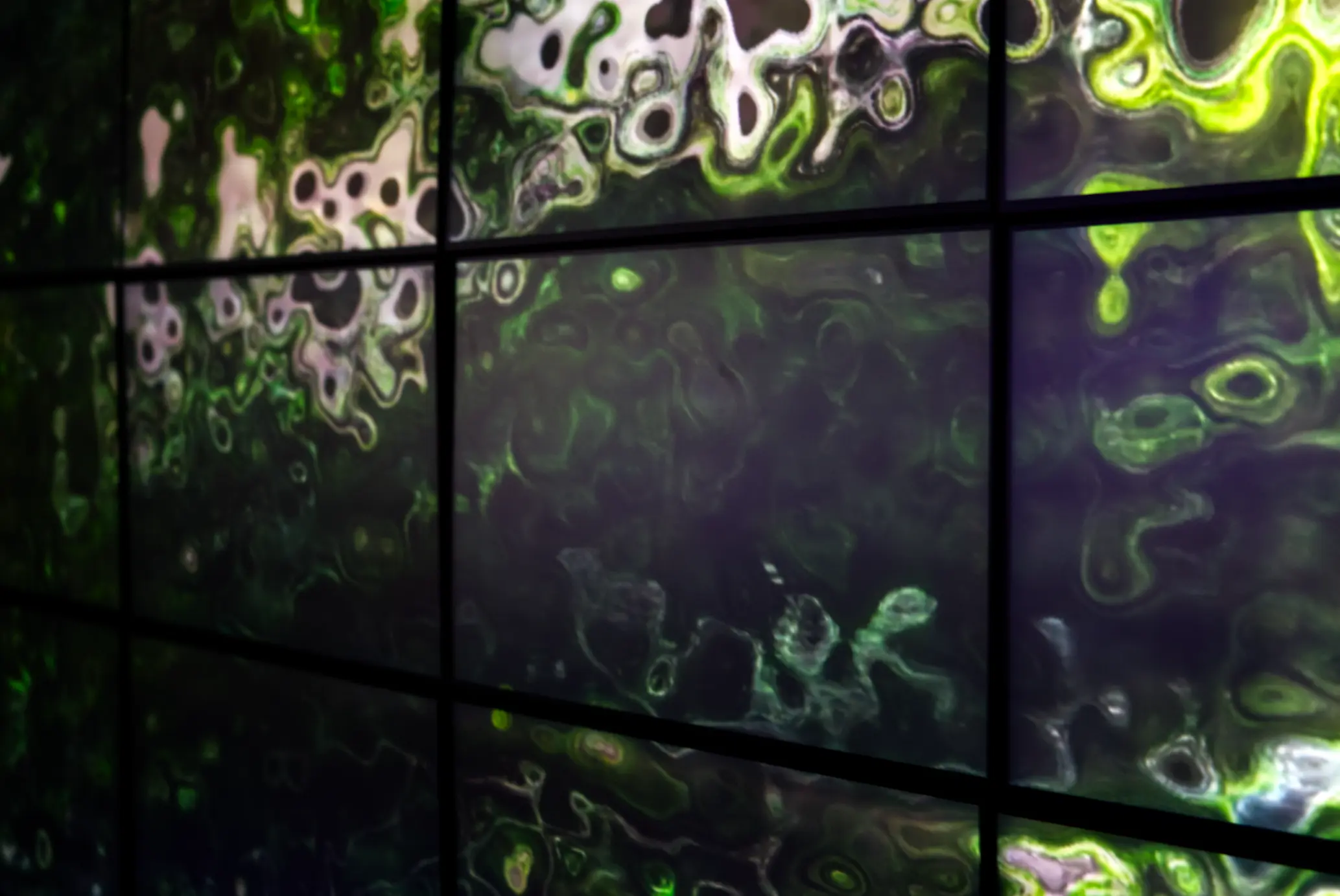 Newborn Space (Newborn Space v1.0.0) - Image 0